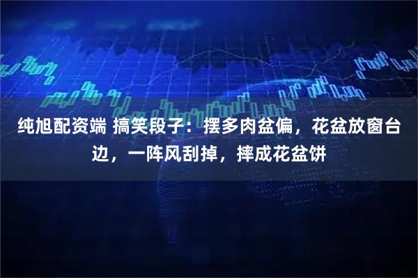 纯旭配资端 搞笑段子：摆多肉盆偏，花盆放窗台边，一阵风刮掉，摔成花盆饼