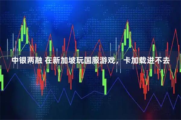 中银两融 在新加坡玩国服游戏，卡加载进不去