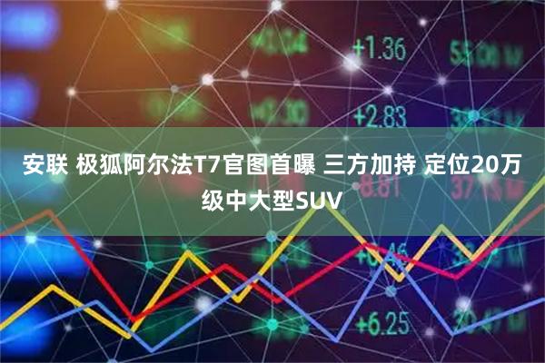 安联 极狐阿尔法T7官图首曝 三方加持 定位20万级中大型SUV